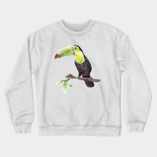 Watercolor Toucan Bird Crewneck Sweatshirt by wanderinglaur